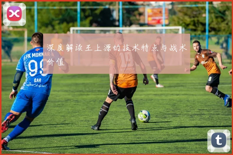深度解读王上源的技术特点与战术价值