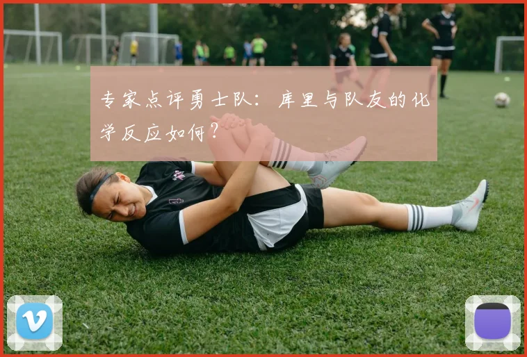 专家点评勇士队：库里与队友的化学反应如何？